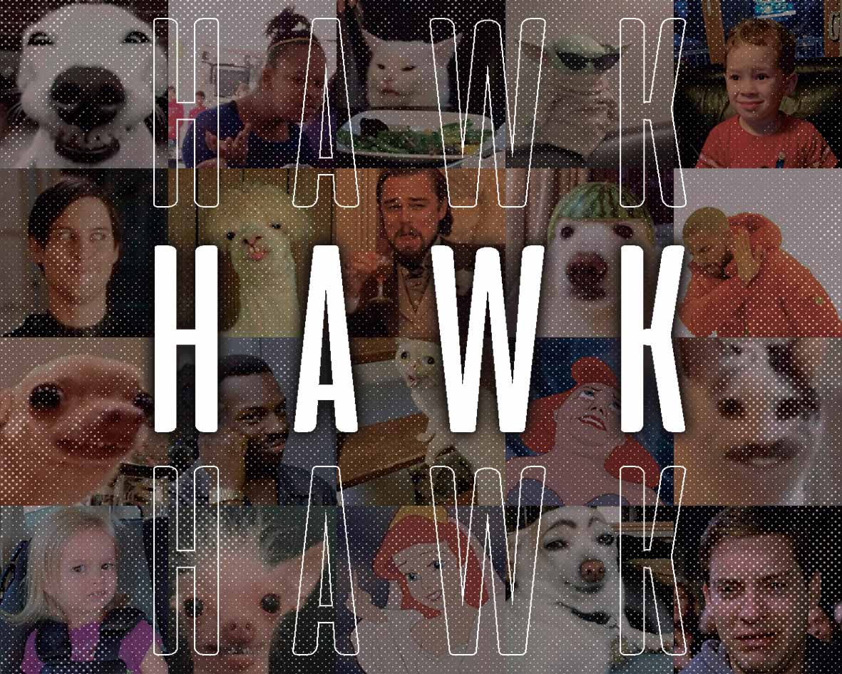 Imagen de Hawk con mucho amor